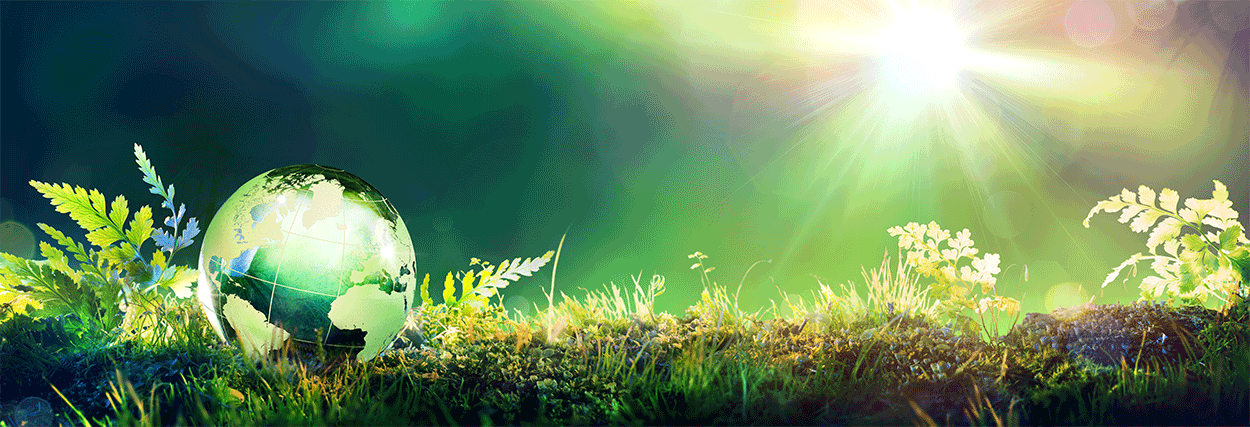 Jordkloden til venstre på en eng av grønne vekster. Motlys og sol, vakkert i grønn toner.